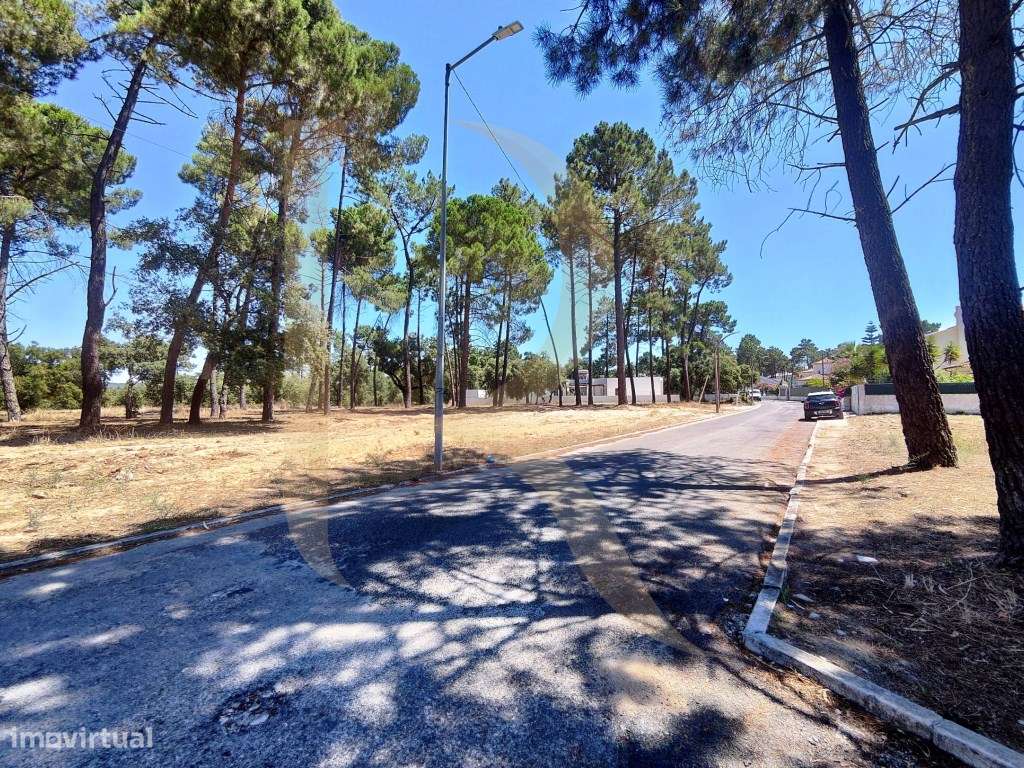 Venda conjunta de 105 lotes de terreno na Urbanização Pinhal de Neg...-9
