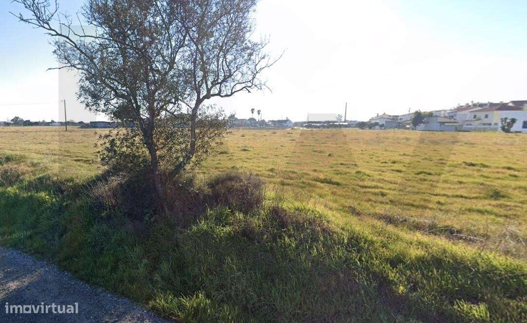 Terreno com 2 hectares para construção em Samora Correia - Grande imagem: 4/25