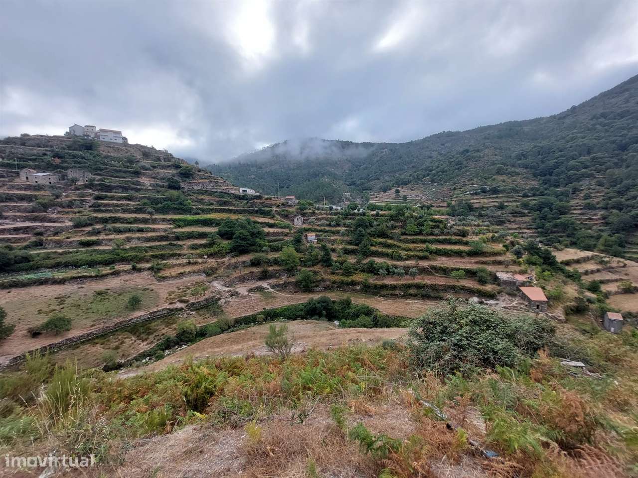 Quinta  Venda em Loriga,Seia - Grande imagem: 4/24