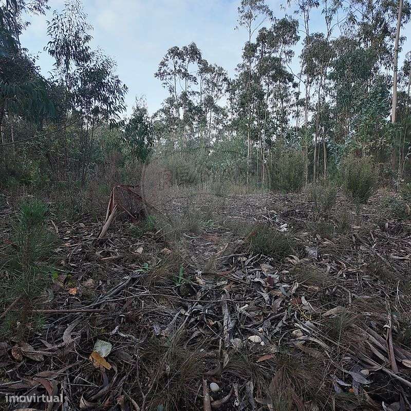 Terreno  para venda - Grande imagem: 3/6