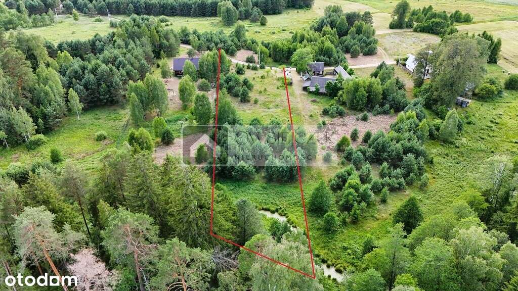 Płaska – Działka nad Rzeką pod Twój Wymarzony Dom! - Pełny obrazek: 4/8