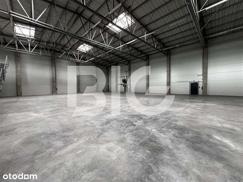 Hala produkcyjna, magazynowa. Biura, p. socjalne - Pełny obrazek: 5/12