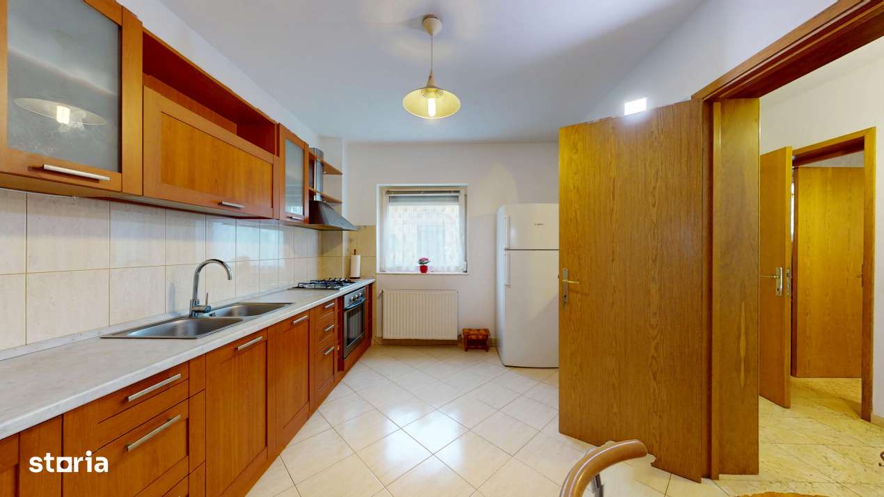 Vila unde diminetile incep cu liniste, nu cu trafic – Iancu Nicolae-7