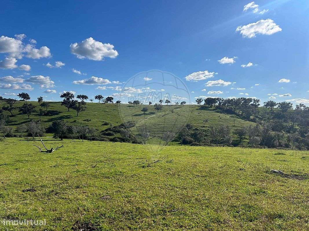 Terreno  para venda - Grande imagem: 2/7