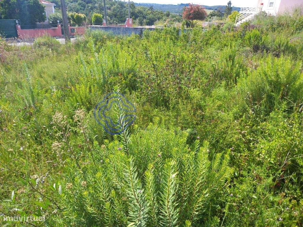 Terreno para construção na cidade de Tomar no cetro de Portugal - Grande imagem: 3/32