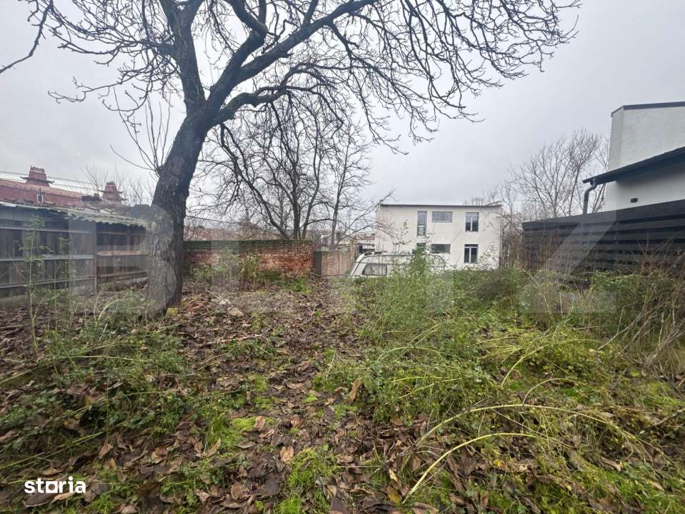 Teren intravilan, 267 mp, str. Alexandru cel Bun - Imagine principală: 3/9