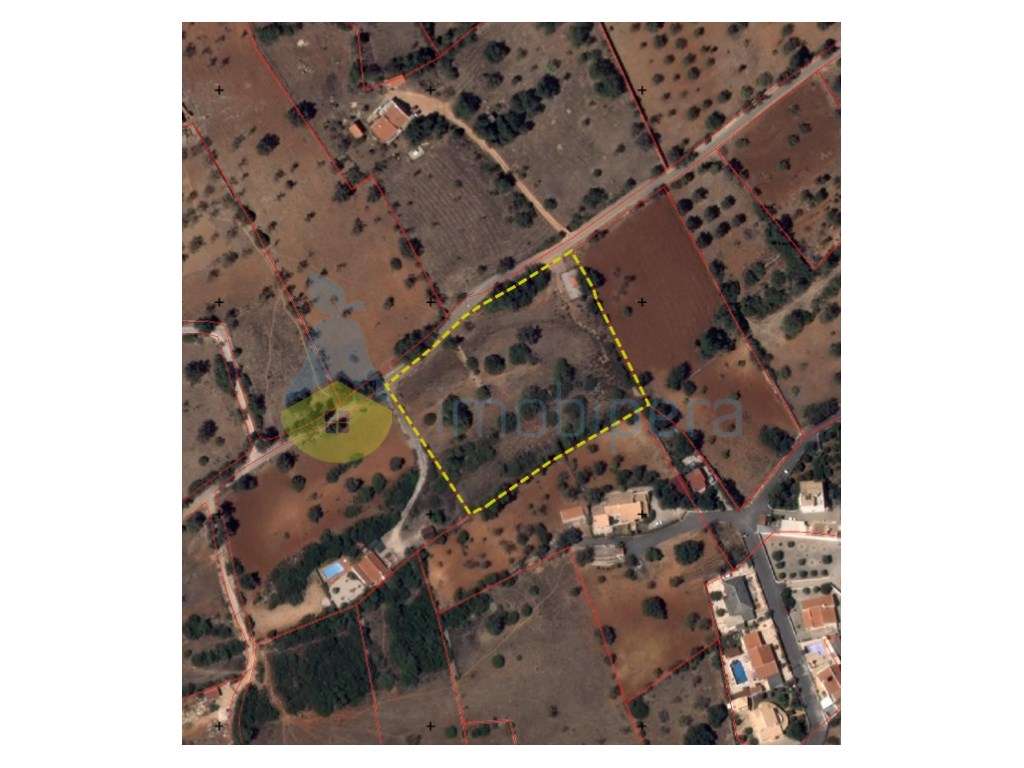 TERRENO RÚSTICO EM CANAIS DE FERREIRAS -EXCLELENTE LOCALIZAÇÃO - Grande imagem: 3/15