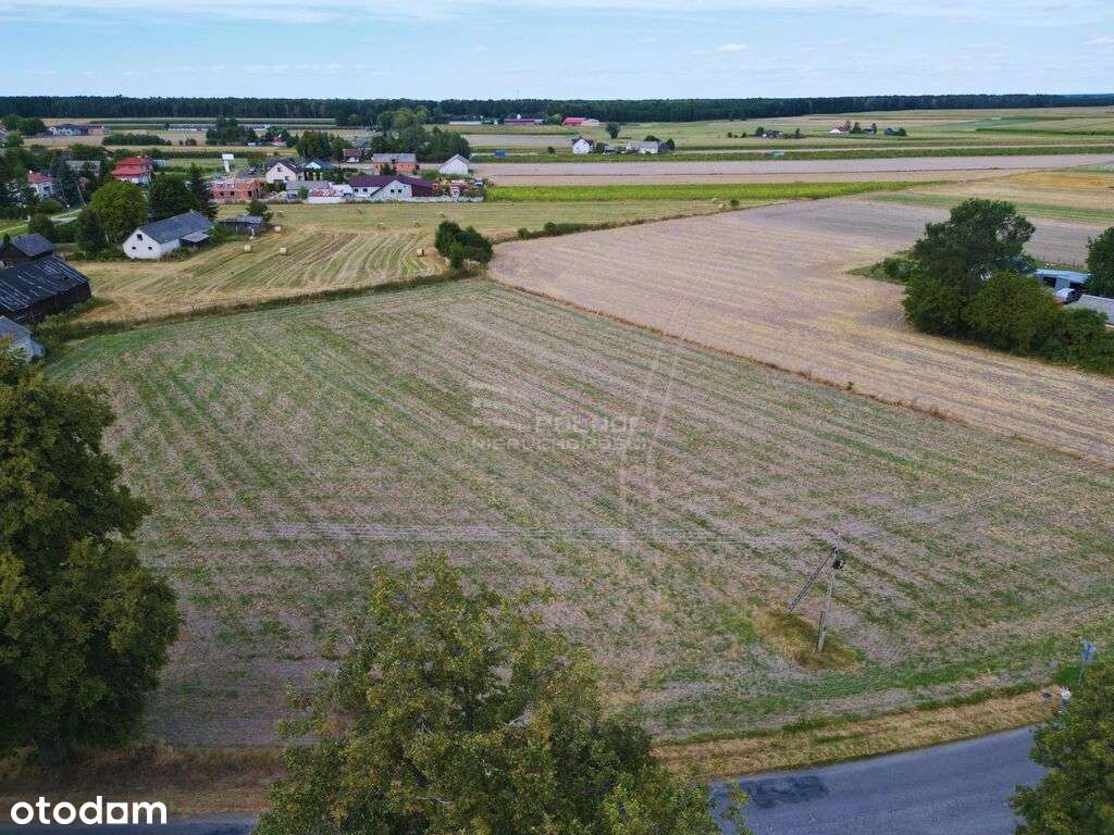 Działka gotowa pod zabudowę Turów k. Kąkolewnicy - Pełny obrazek: 5/7