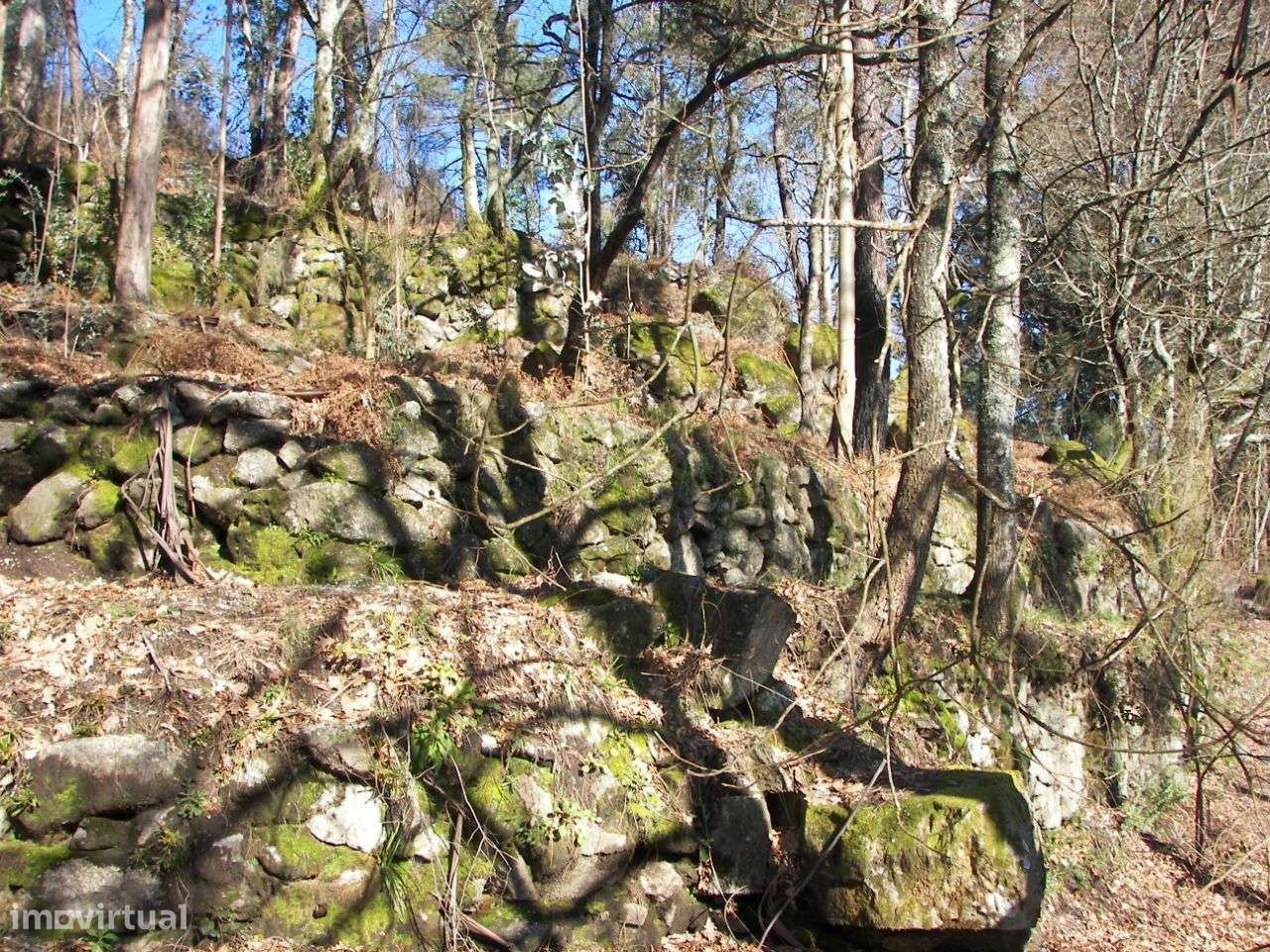Terreno com 3851m2 em Vila Cova, Fafe - Grande imagem: 3/13