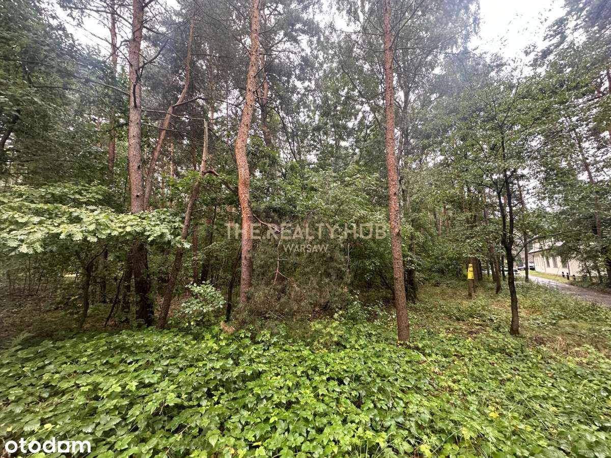 Atrakcyjna cena sezonowa | Duża działka 2100 m2-1