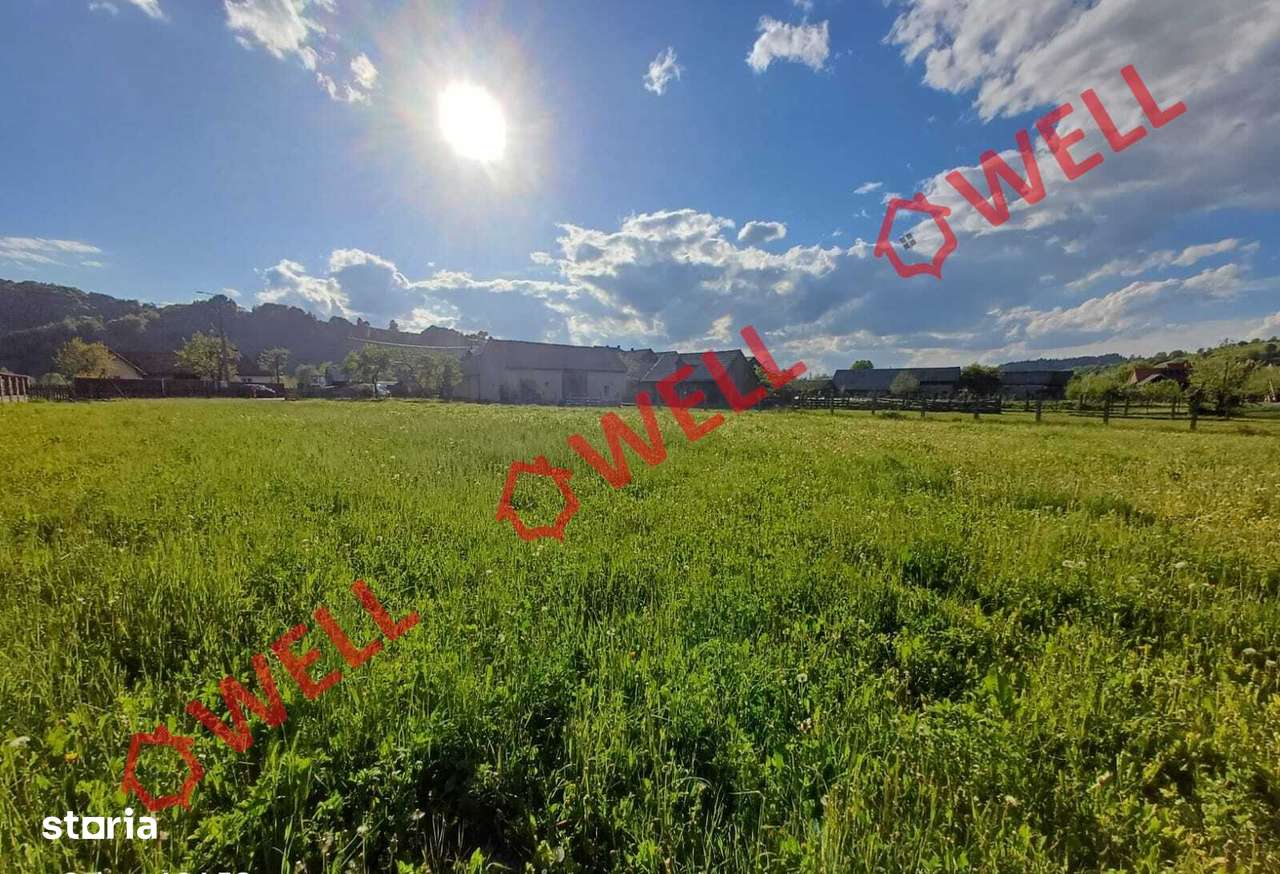 De vânzare teren intravilan în localitatea Sita Buzăului! - Imagine principală: 3/6