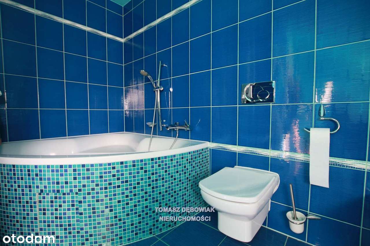 Obszerny wolnostojący dom blisko Zalewu Rydzyńskiego-12