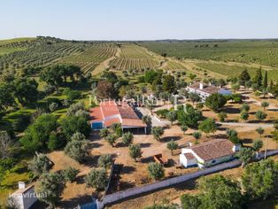 Herdade com Vinha - Adega e Olival - Avis - Grande imagem: 3/36