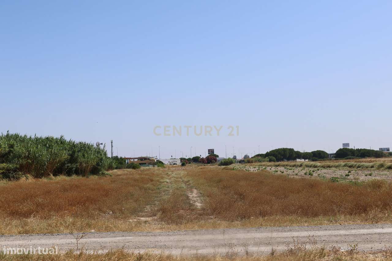 Terreno 1.6 Ha Samouco - Alcochete-6