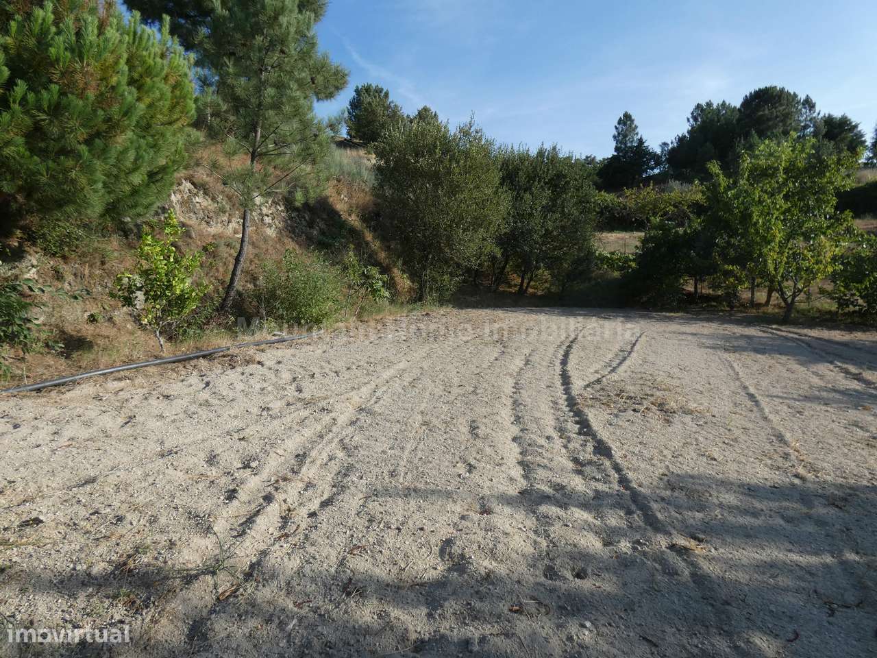 Moradia T3 Venda em Linhares,Celorico da Beira - Grande imagem: 5/16