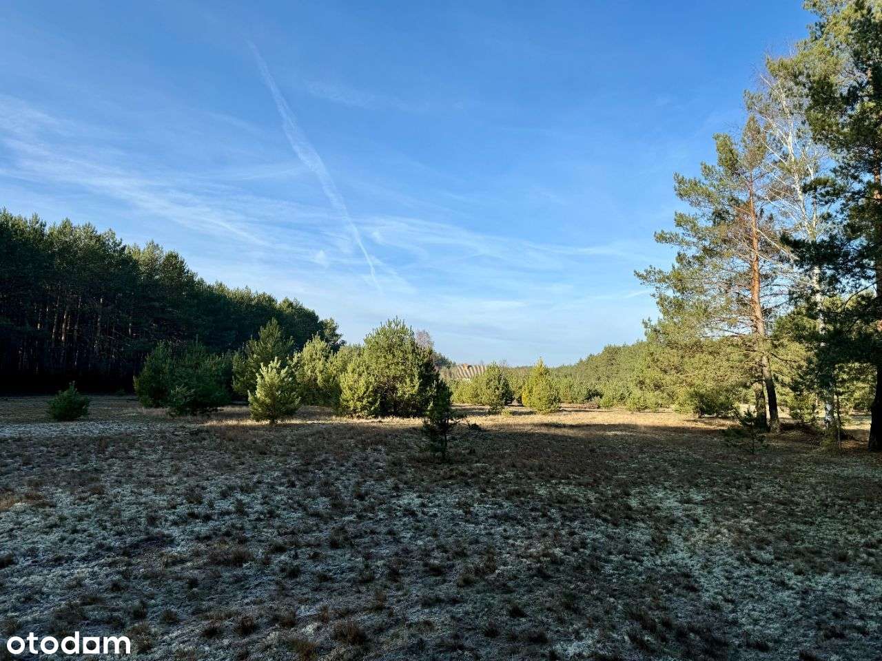 Działka budowlana z lasem w Parku Krajobrazowym - Pełny obrazek: 4/16