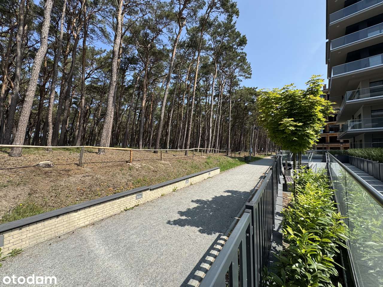 Apartament w Mrzeżynie w Resorcie Hevenia-11