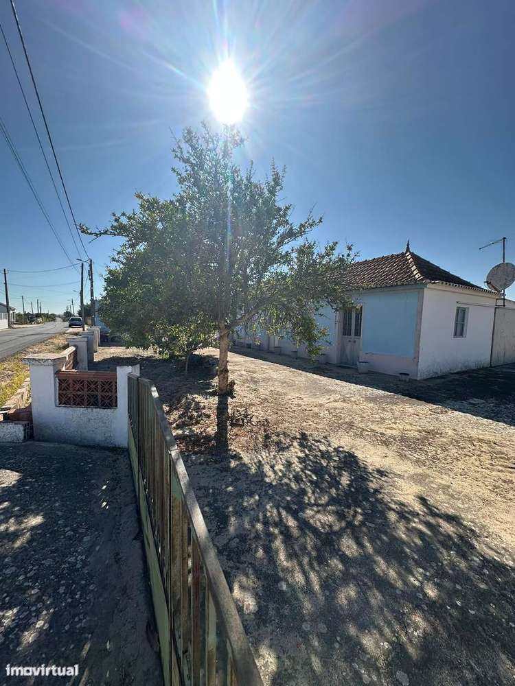 Quintinha com Moradia T2 em Foros Salvaterra - Grande imagem: 2/22