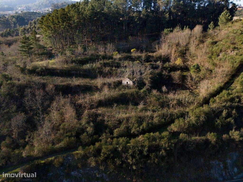 Quinta de Sonho em Fregim, Amarante com vista Rio - Grande imagem: 5/14