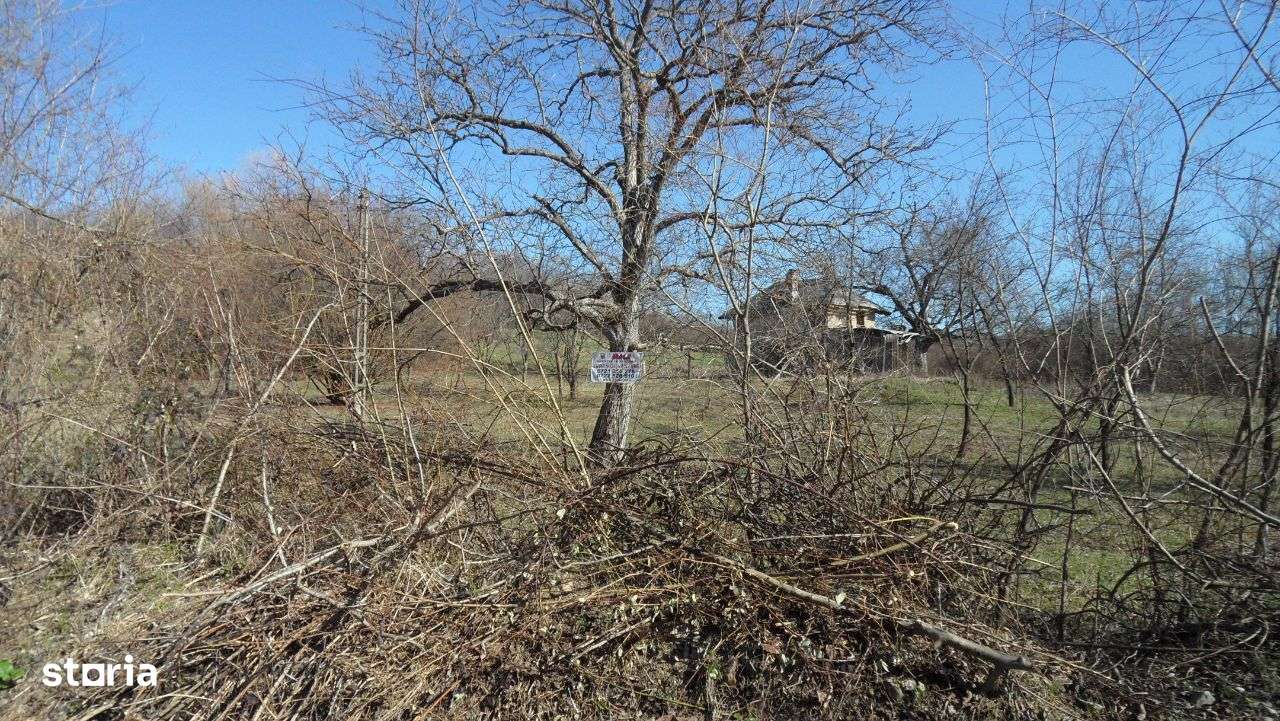 Teren in Gura Vaii - Imagine principală: 2/10