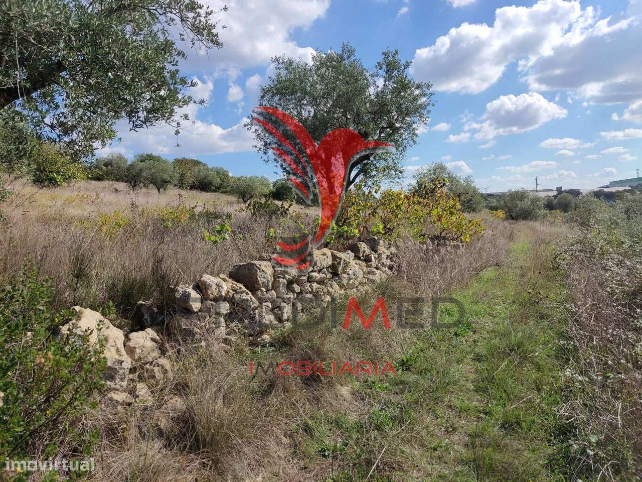 Terreno rustico com 4495 m² - Grande imagem: 4/9