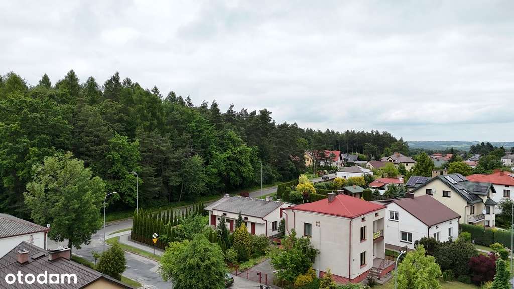 Dom z budynkiem gospodarczym przy lesie - Pełny obrazek: 4/9