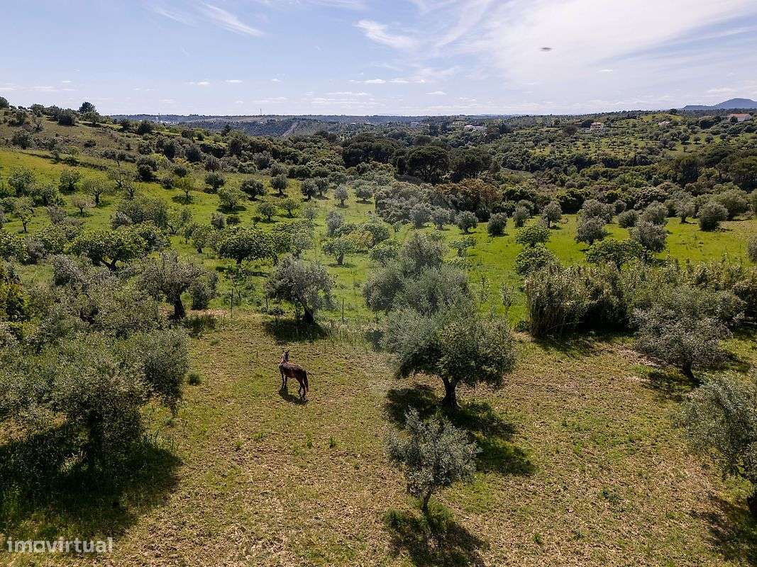 Terreno  para venda-3