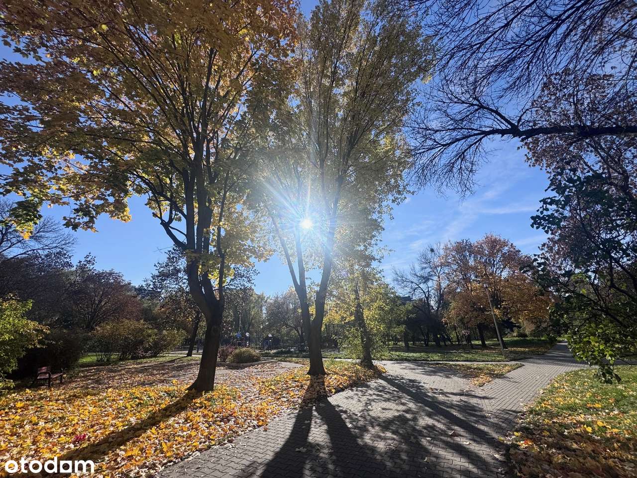 Stwórz własne 2-pokojowe mieszkanie w sercu miasta! - Pełny obrazek: 5/17