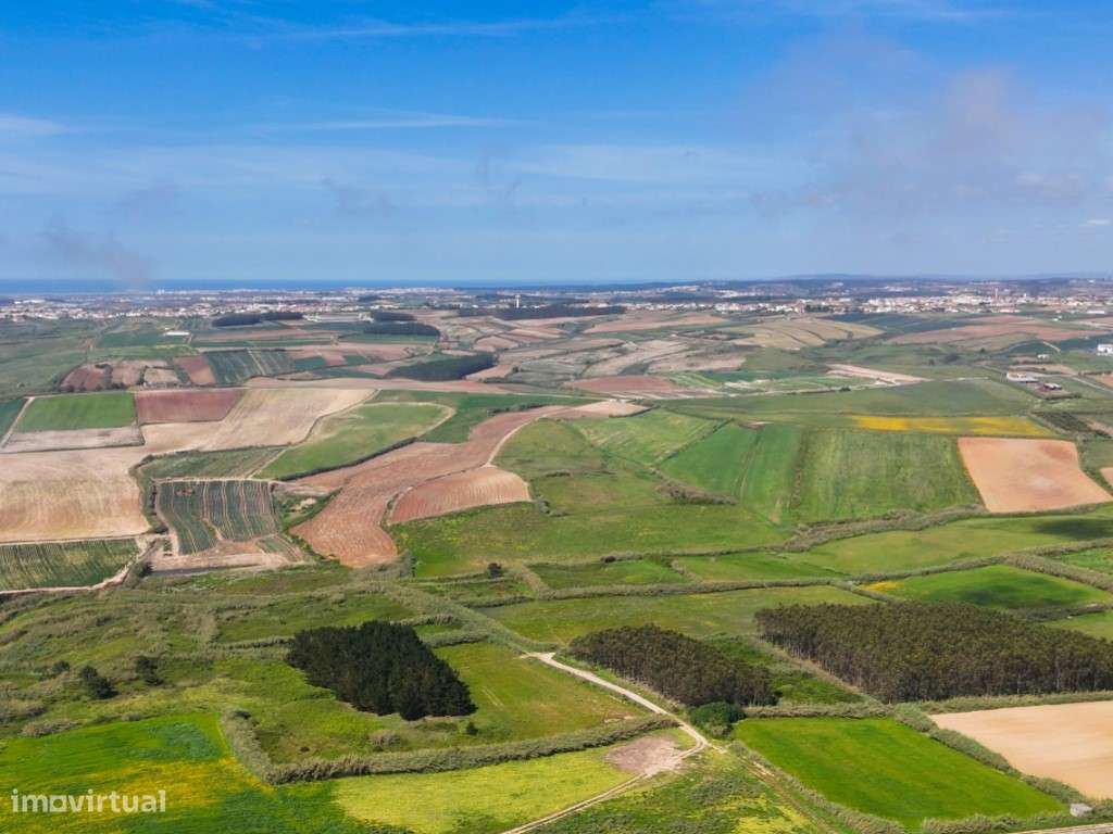 Venda de 2 Terrenos Agrícolas na zona do Paimogo, Lourinhã-20