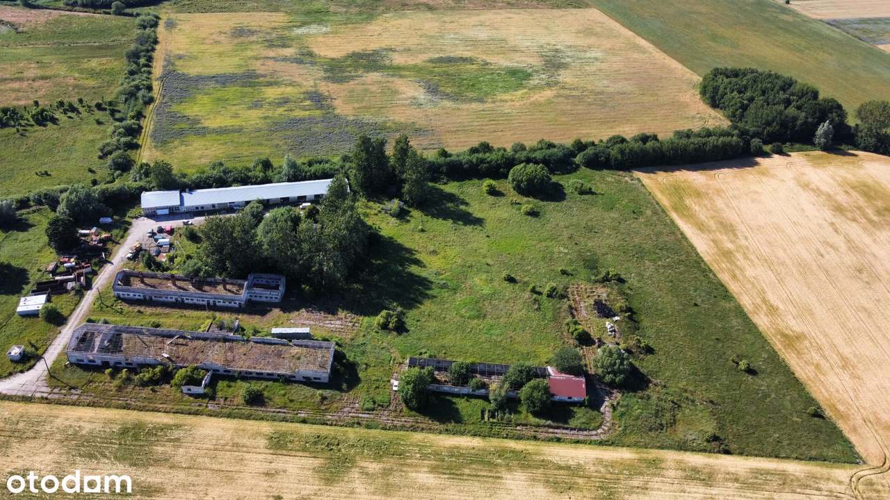 Hala magazynowa, warsztatowa, produkcyjna - Grunt 4,5 hektara-6