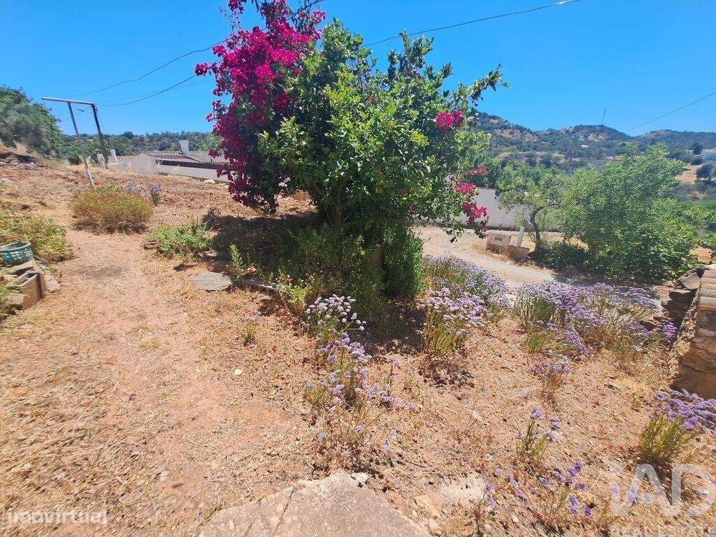 Casa de Campo T2 em Santa Catarina da Fonte do Bispo de 85 m2 - Grande imagem: 4/21