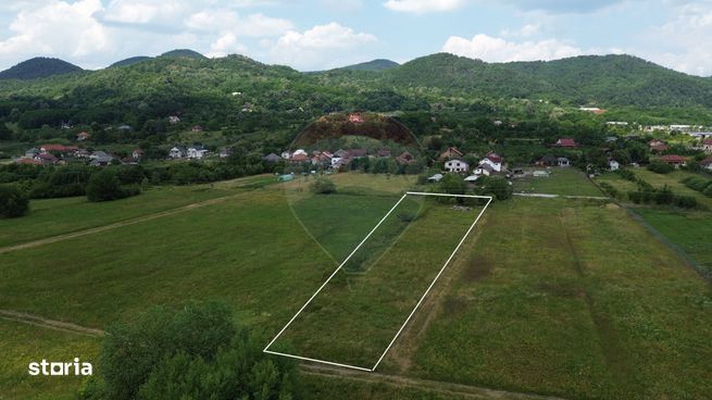 NOU - TEREN DE VANZARE - Cicarlau-2