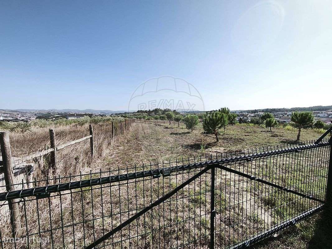 Terreno  para venda - Grande imagem: 3/4