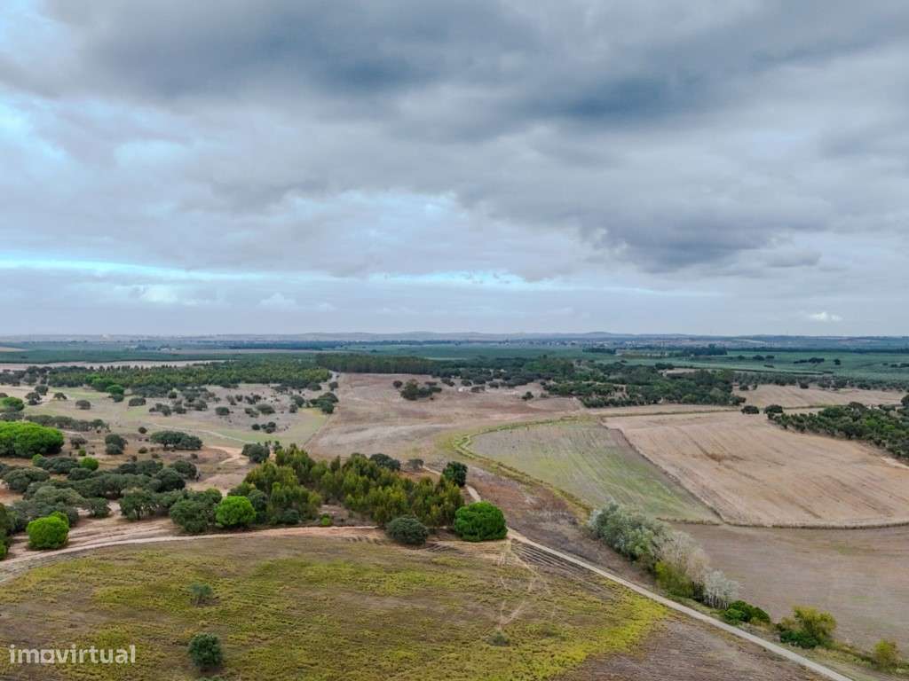 TERRENO DE 22,45 HA COM RUÍNA DE 240 M² PARA RECUPERAÇÃO EM FERREIR...-14