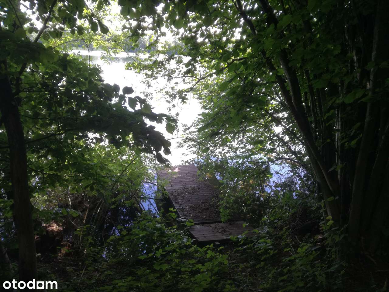 Działka nad jeziorem z 25 metrową linią brzegową, jezioro Cekcyńskie - Pełny obrazek: 4/11