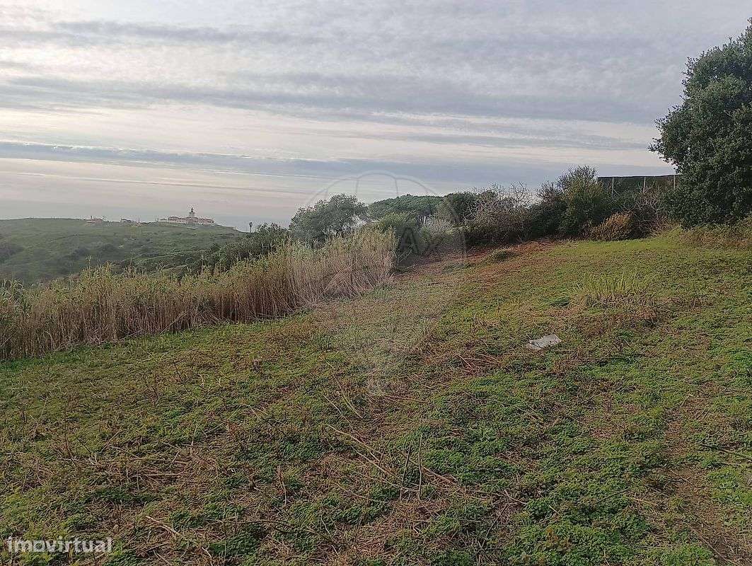 Terreno  para venda - Grande imagem: 4/14