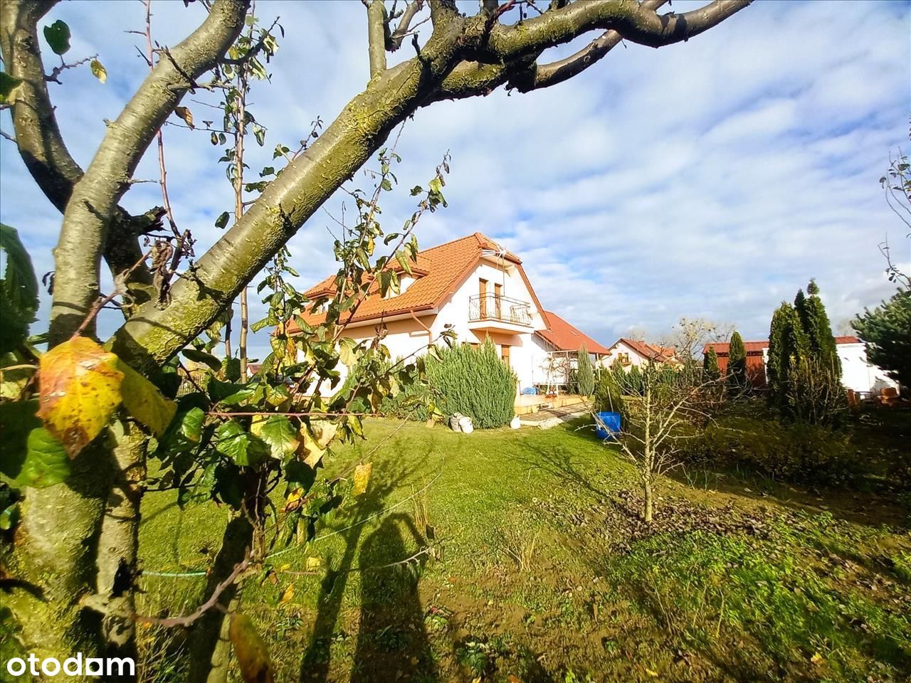 Duży dom z pięknym ogrodem Dobroszyce