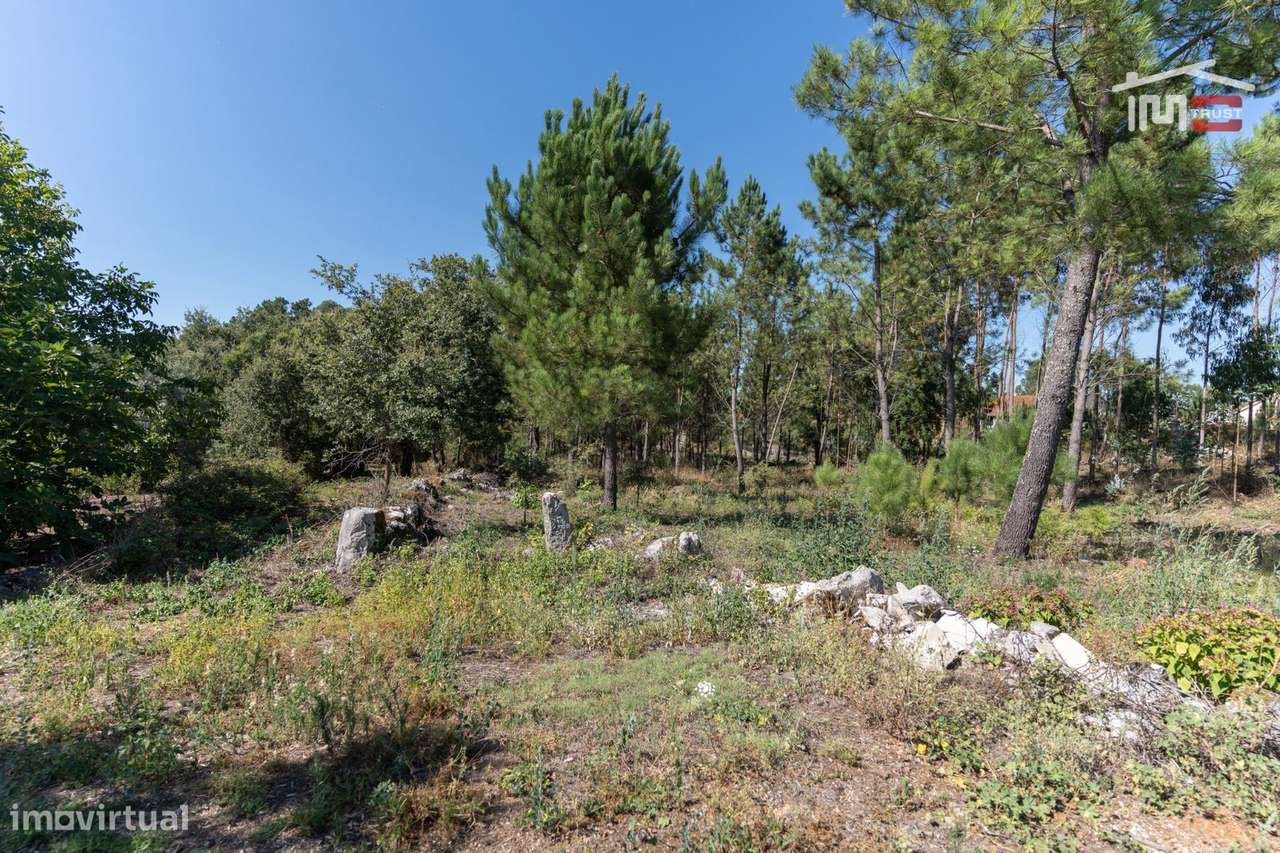 TERRENO COM AREA DE 3870 M2 UMA PARTE PARA CONSTRUÇÃO EM CASAL VELH... - Grande imagem: 4/9