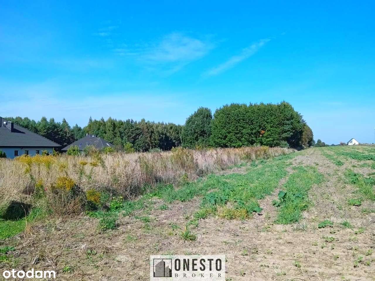 Działka 1,22ha rolno budowlana + usługi, INWESTYCJA, Łęczna - Pełny obrazek: 4/7