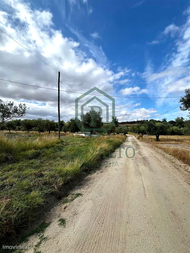 Quinta >=T10 Venda em Cortiçadas de Lavre e Lavre,Montemor-o-Novo-34