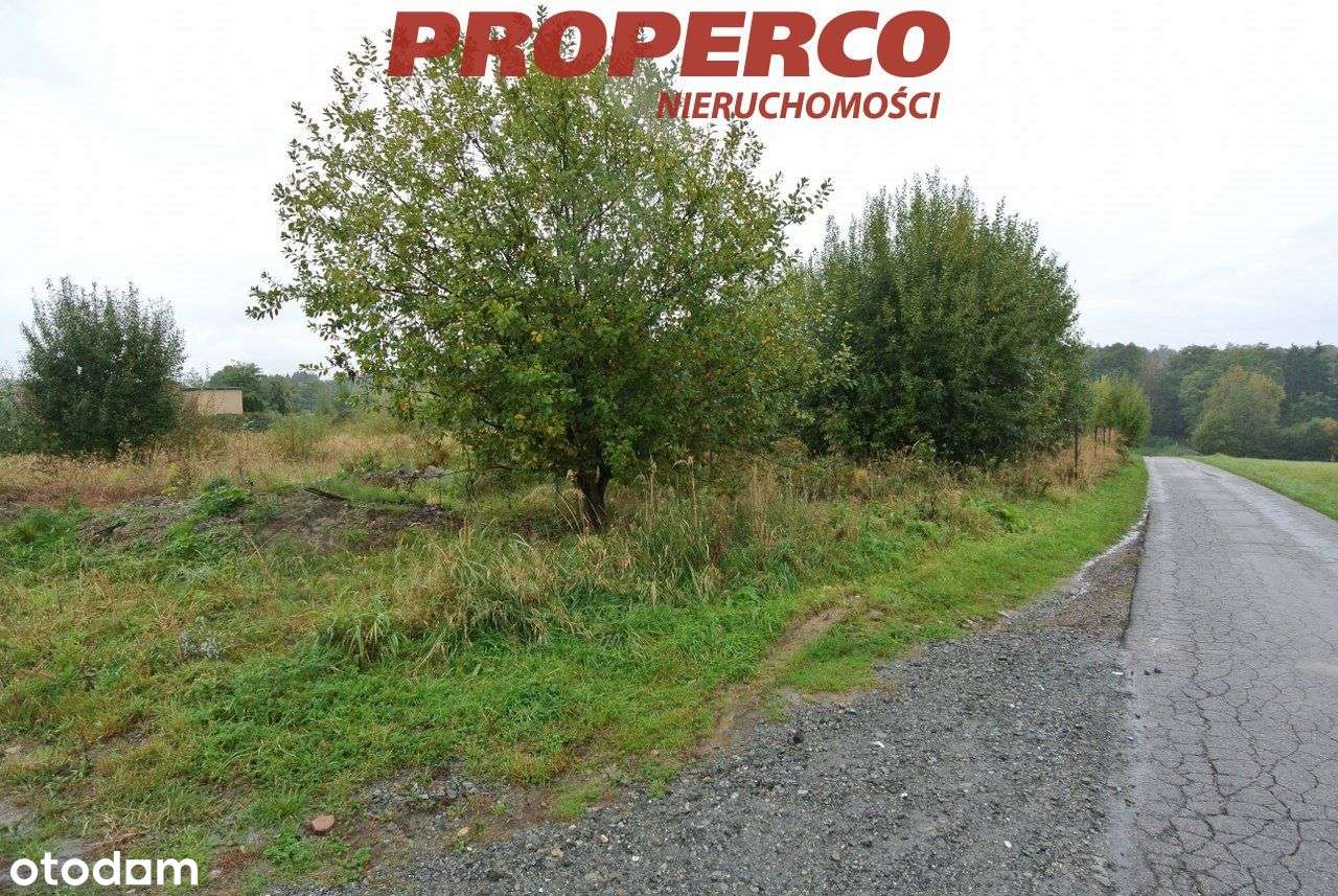 Działka 3856m2, Czechowice Dziedzice-3