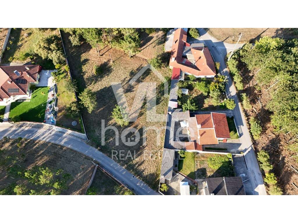 Invista no Futuro: Terreno com Potencial de Urbanização na Pocariça... - Grande imagem: 4/21