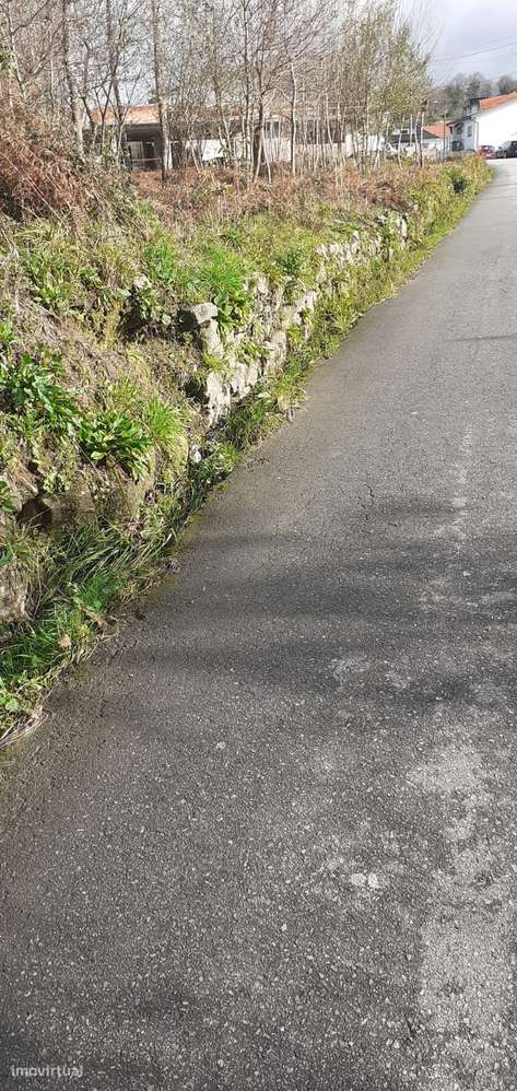 Terreno em Lobão-10