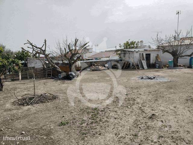 Moradia renovada com grande quintal - Perolivas-18