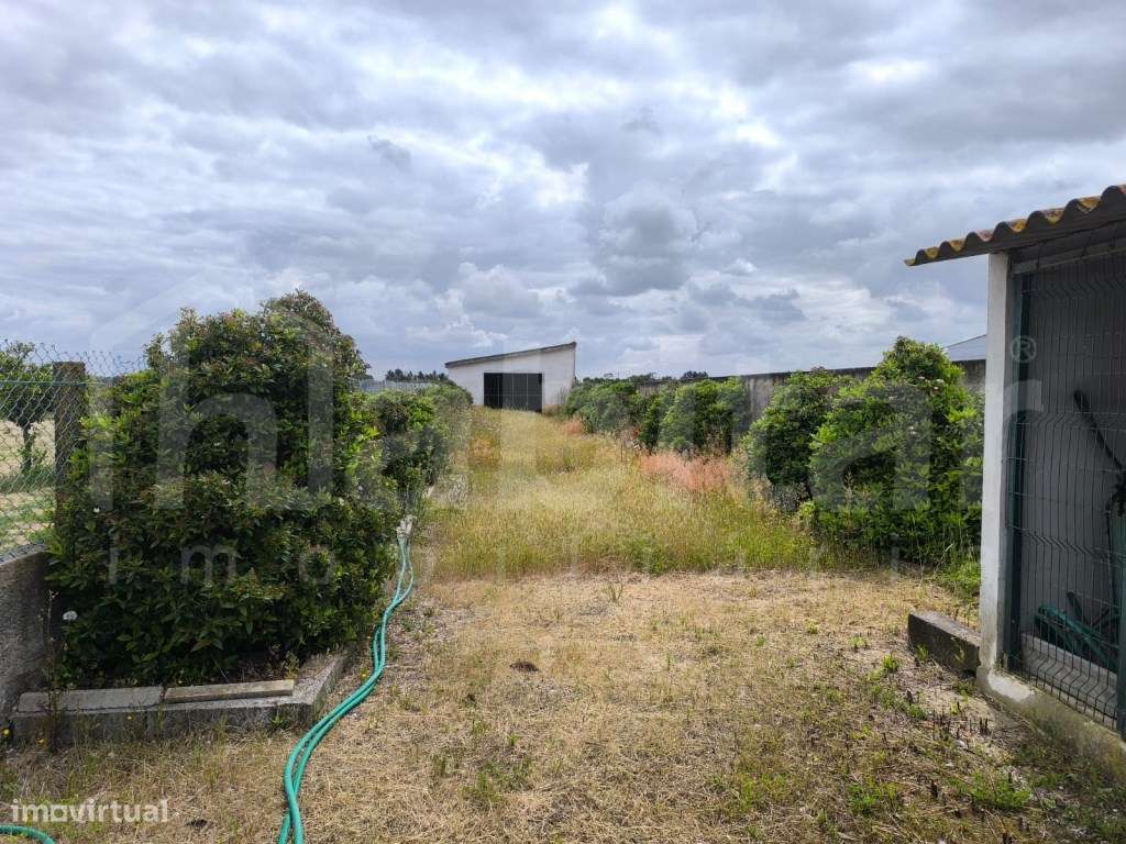 Moradia T3 com 5000m² de terreno Foros de Salvaterra-19
