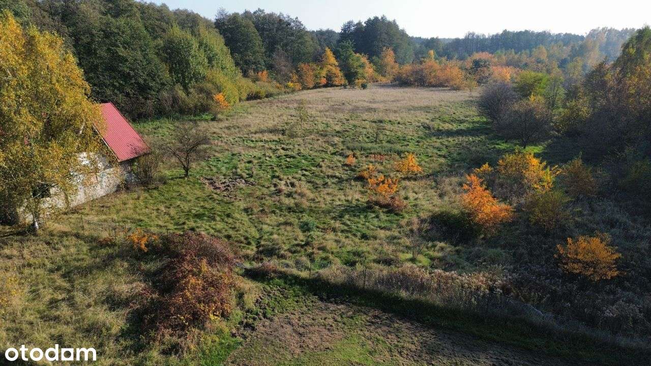 Działka budowlana z PnB w klinie zieleni