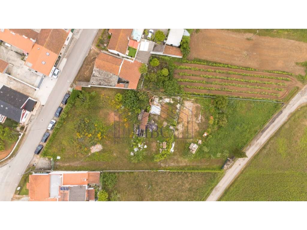 Terreno com Potencial de Construção e Vista Serra de Montejunto - B...-5