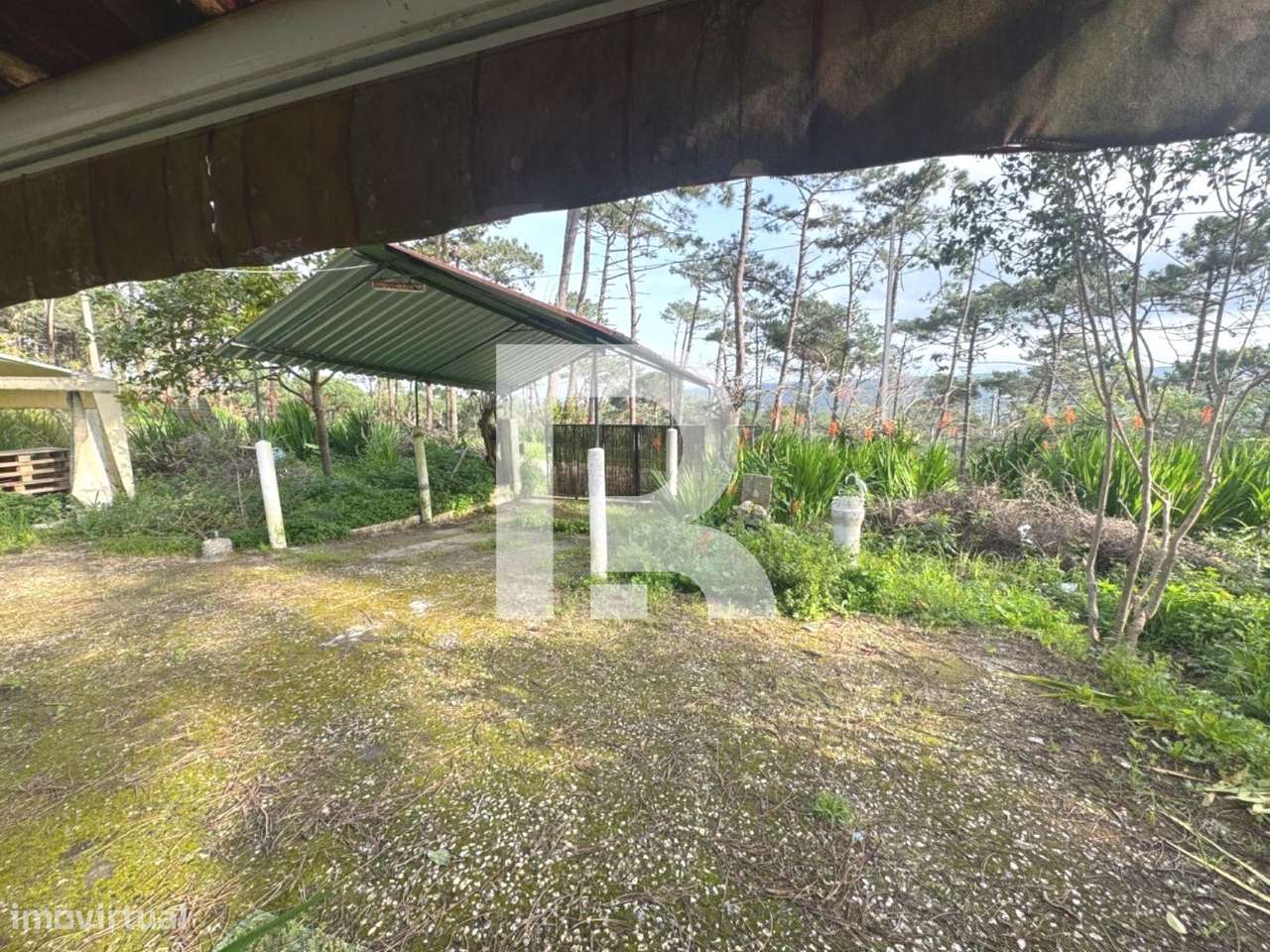 Moradia T2 em terreno de 2200m2 em Colares - Grande imagem: 5/24