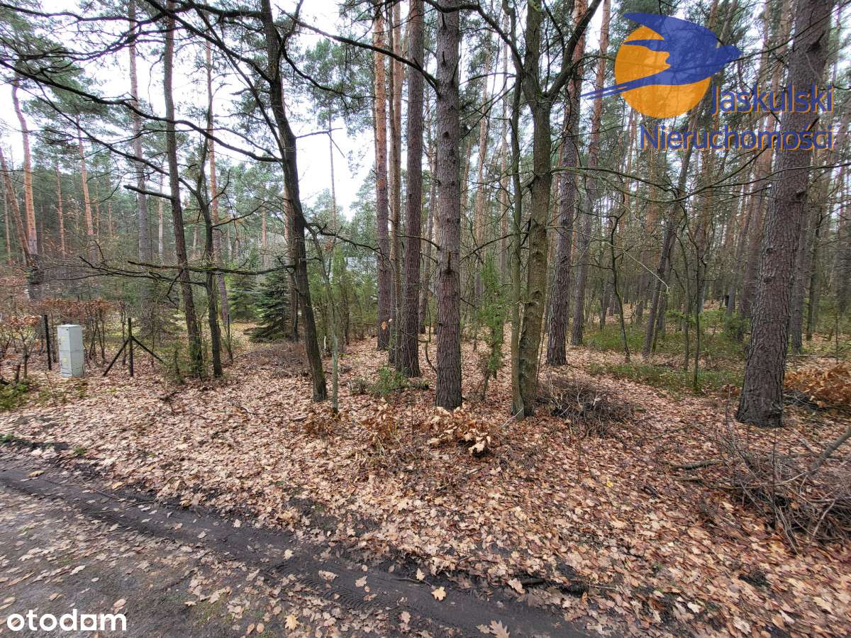 Osiedle Wilga - Pełny obrazek: 5/12