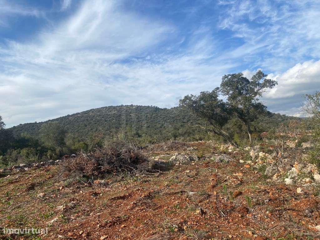 Lote de terreno rústico situado em zona muito tranquila, Boliqueime... - Grande imagem: 2/16